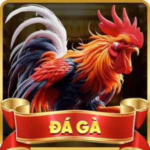 Đá Gà Trực Tiếp Xoxo66