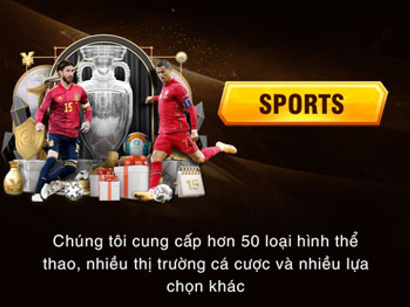 Cá cược thể thao xoxo66